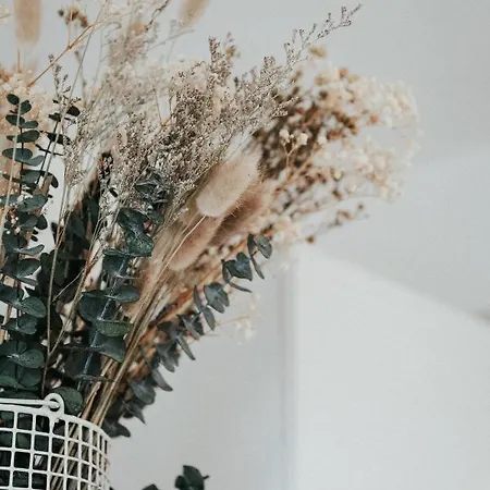 L'escapade Thiernoise Lägenhet Thiers